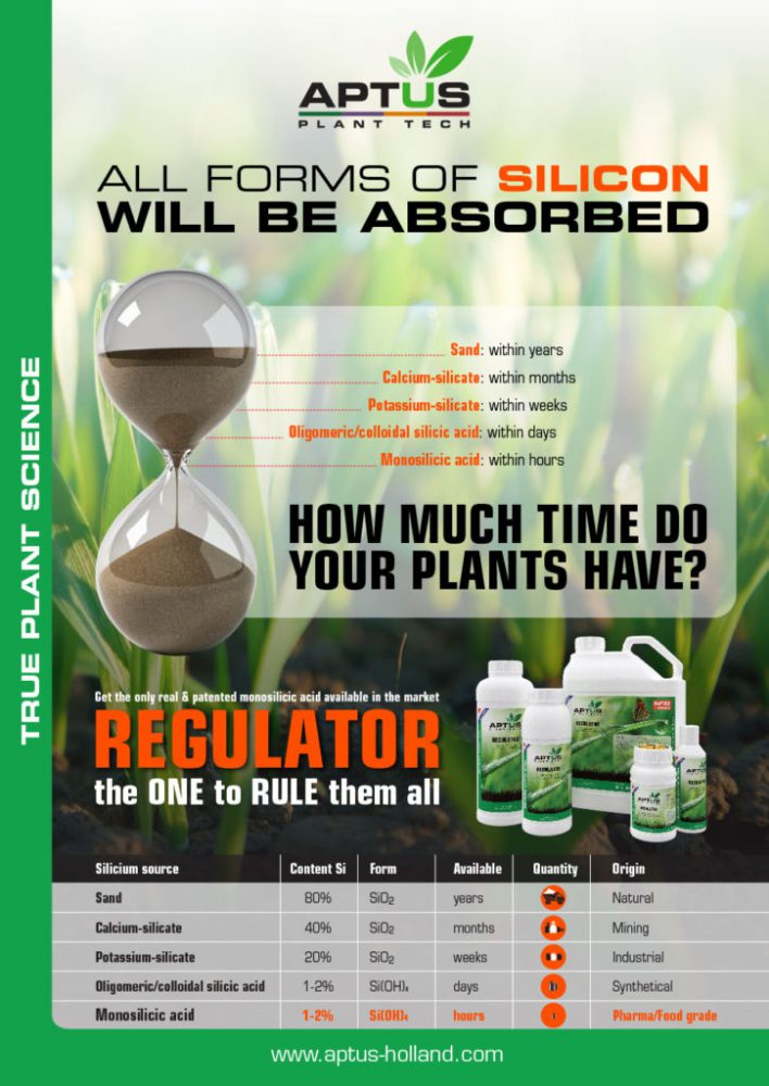 regulator_promo_eng